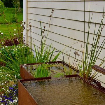 Water feature planting