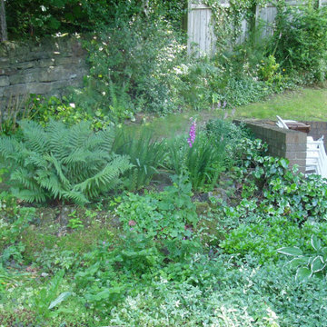 Water, Woodland & Wildlife Garden - Before the waterfall