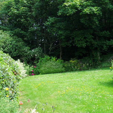 Water, Woodland & Wildlife Garden - the sloping lawn and overgrown shrubbery