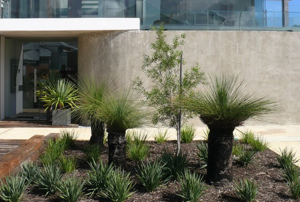 Contemporary Landscape by Nouveau Garden Designs