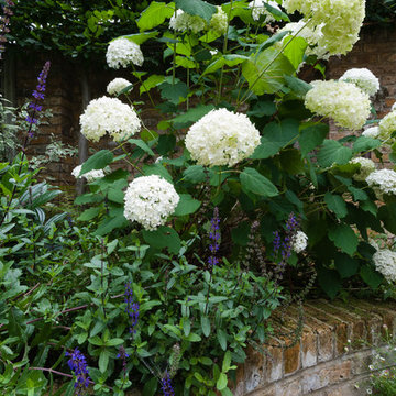 West London Courtyard