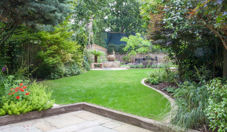 Garden Tour: Two Gardens Become One Seamless, Leafy Space