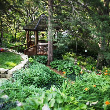 Wild Backyard Wonderland