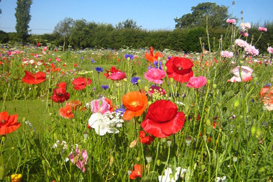 Inspiration for a medium sized country back full sun garden for summer in Berkshire.