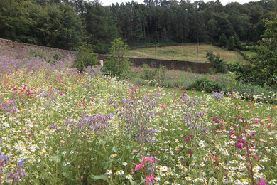 Wild meadow garden Peak District