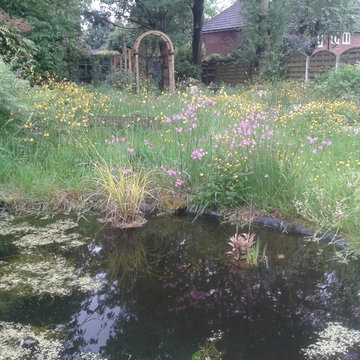 Wildlife garden and pond