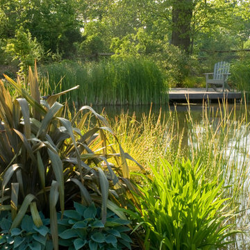 Willows and Water, Surrey