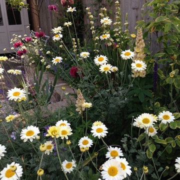 Wimbledon, courtyard garden