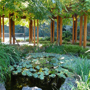 Wisteria pergola and ponds