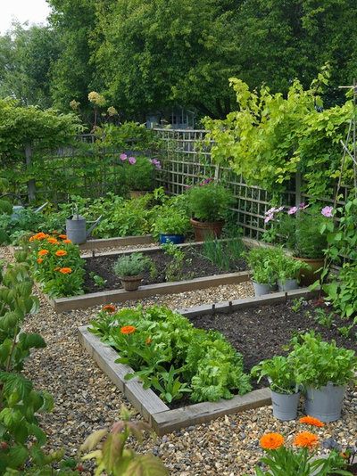 Farmhouse Landscape by Joanne Winn Garden Design