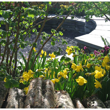 Woodland Garden: RHS Cardiff Flower Show