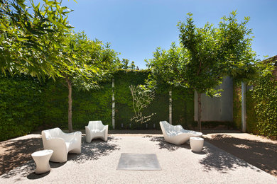 Cette photo montre un jardin sur cour moderne de taille moyenne avec une exposition partiellement ombragée.