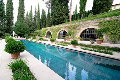 フィレンツェにあるトラディショナルスタイルのおしゃれな庭の写真