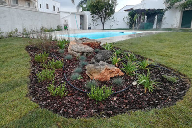 Foto di un giardino mediterraneo esposto in pieno sole di medie dimensioni e dietro casa in estate con sassi e rocce e pavimentazioni in pietra naturale