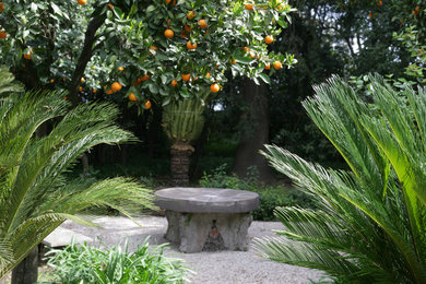 Foto di un giardino mediterraneo