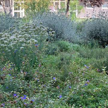 giardino contemporaneo a basso impatto ambientale
