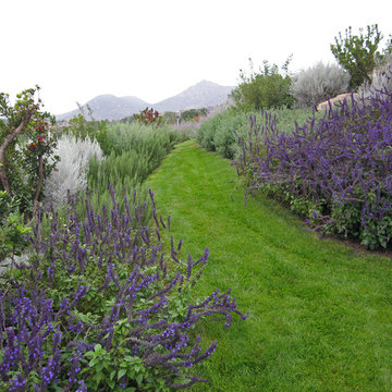 giardino mediterraneo