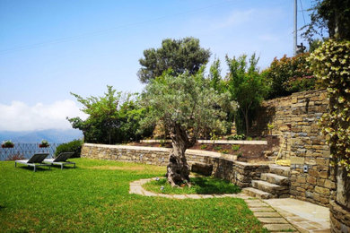 Esempio di un giardino mediterraneo esposto in pieno sole di medie dimensioni in inverno con un muro di contenimento, un pendio, una collina o una riva e pavimentazioni in pietra naturale