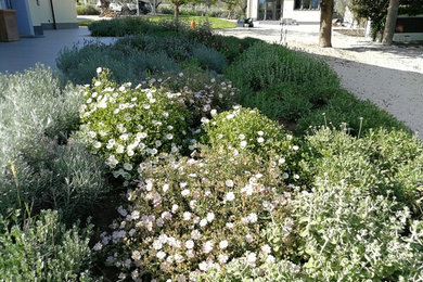 Inspiration for a mid-sized contemporary drought-tolerant and full sun landscaping in Rome.