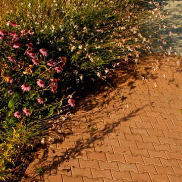 Giardino sensoriale terapeutico, bordura di perenni