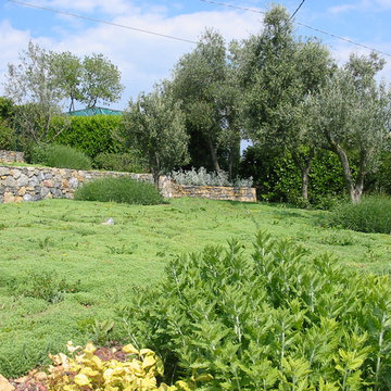 Giardino terrazzato 2