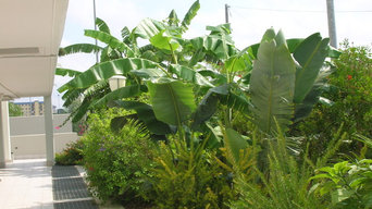 Giardino tropicale