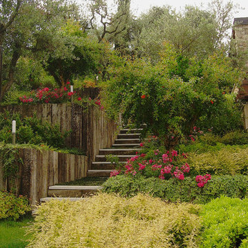 Il Giardino lacustre (Giardino a Terrazze)