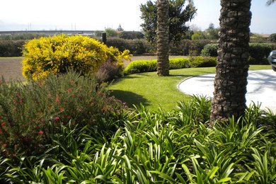 Immagine di un giardino mediterraneo