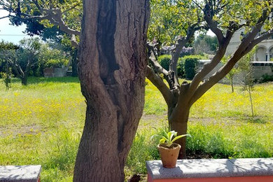 ローマにあるカントリー風のおしゃれな庭の写真