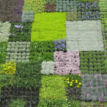 Realizzazioni di giardini e terrazzi