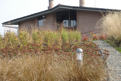 Foto di un giardino xeriscape design esposto in pieno sole di medie dimensioni e sul tetto in autunno