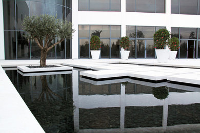 Foto di un ampio giardino design con fontane