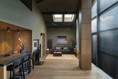 На фото: маленькая двухуровневая гостиная комната в современном стиле с зелеными стенами, паркетным полом среднего тона, стандартным камином, фасадом камина из камня и коричневым полом для на участке и в саду с