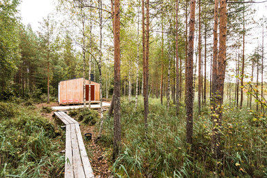 Idee per la casa con tetto a falda unica piccolo scandinavo a un piano con rivestimento in legno e copertura in metallo o lamiera