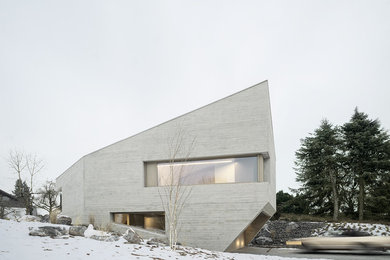 Diseño de fachada de casa gris minimalista de tamaño medio de dos plantas con revestimiento de hormigón y tejado de un solo tendido