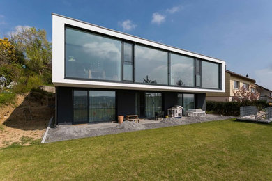 Imagen de fachada de casa minimalista de tamaño medio de dos plantas con revestimiento de vidrio y tejado plano