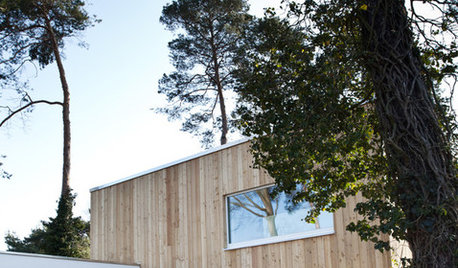 Houzzbesuch: Ein modernes Holzhaus im Brandenburger Wald