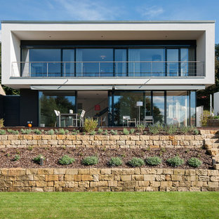 Diseño de fachada blanca, moderna, de tamaño medio, de dos plantas, con tejado plano