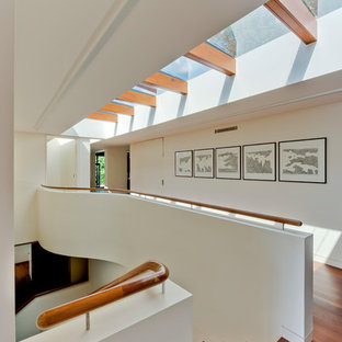 Design ideas for a modern hallway in Sydney with white walls, medium hardwood floors and brown floor.