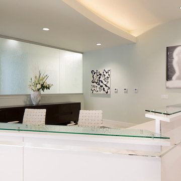 Art studio Sergey Konstantinov. SophiSticate Interiors. MedSpa in San Francisco.