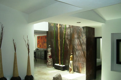 Inspiration for a contemporary hallway remodel in Mexico City