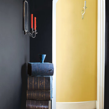 Benjamin Moore Century Paint