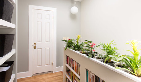 На кухне огород, а в ванной орхидея: Выбираем растения в каждую комнату