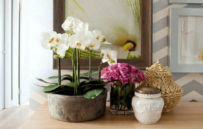 Хороший вопрос: Как ухаживать за орхидеей дома?