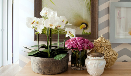 Хороший вопрос: Как ухаживать за орхидеей дома?