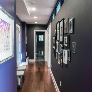 Foto di un piccolo ingresso o corridoio minimal con pareti viola, parquet scuro e pavimento marrone