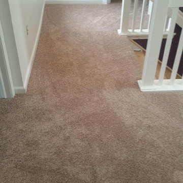 Carpet Flooring Installs