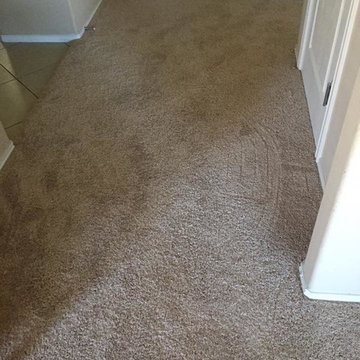 Complete Home Carpet Installation in Frisco, TX