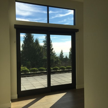 Contemporary Dark Windows & Doors