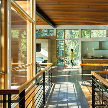 Contemporary Residence